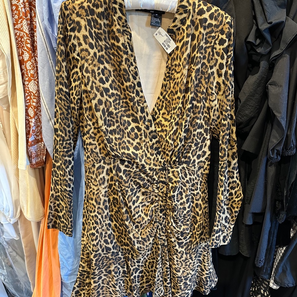 JayGodfrey Leopard Dress